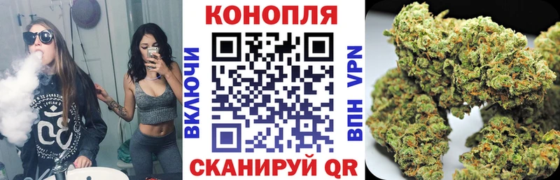 Бошки марихуана OG Kush Купить где Валдай